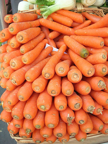 carrot