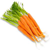 Carrot