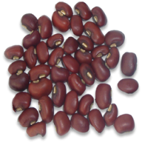 Cowpea (Vegetable type)